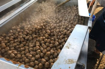 7 Meatballs