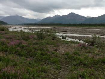 Berzowskis Alaska Adventure