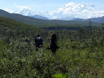 Berzowskis Alaska Adventure: Denali National Park