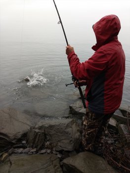 Berzowskis Alaska Adventure