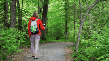 Hike Brevard NC