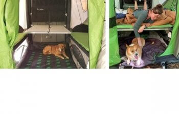 Dogs inside GO Camping trailer
